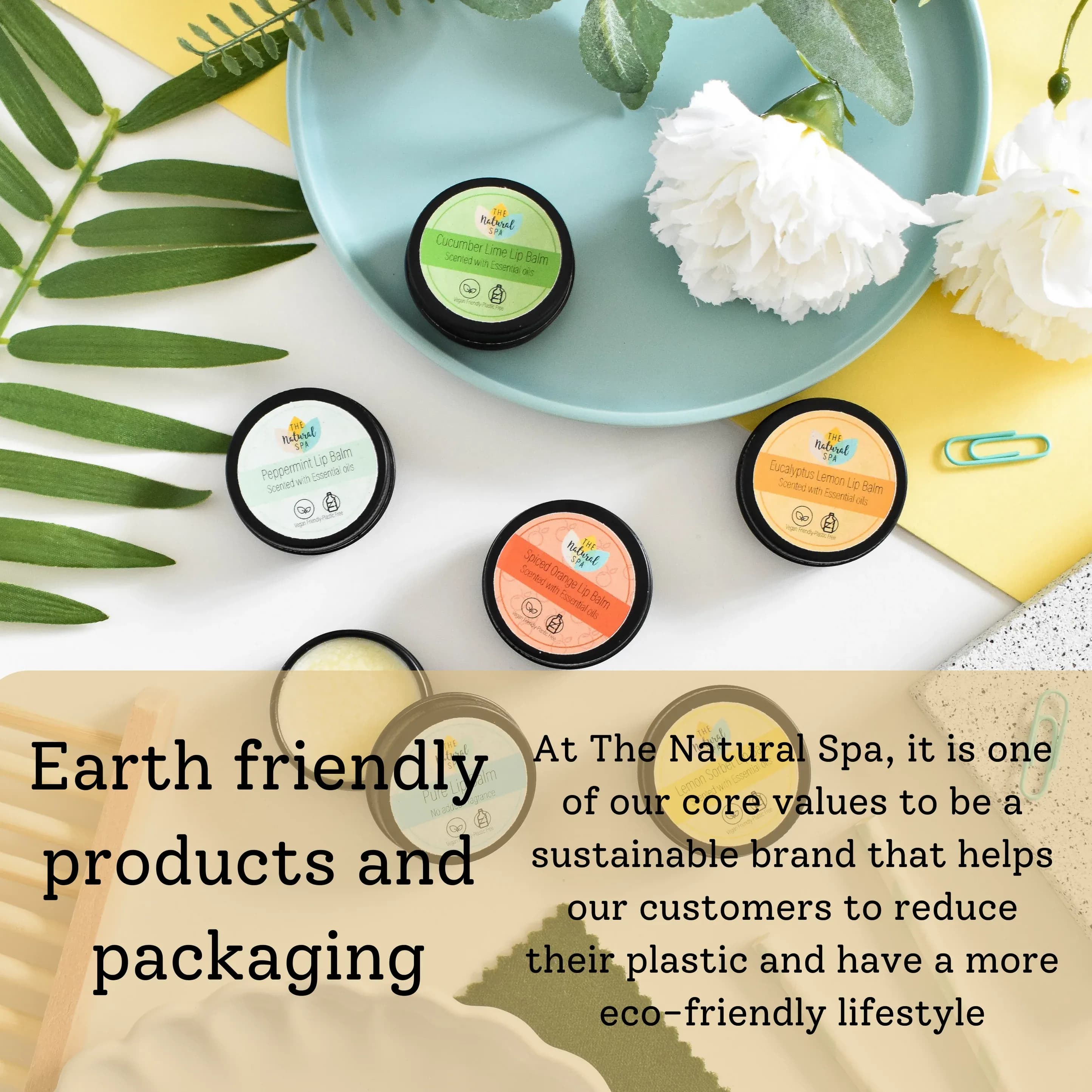 Baume a lèvre à l'eucalyptus et au citron 02