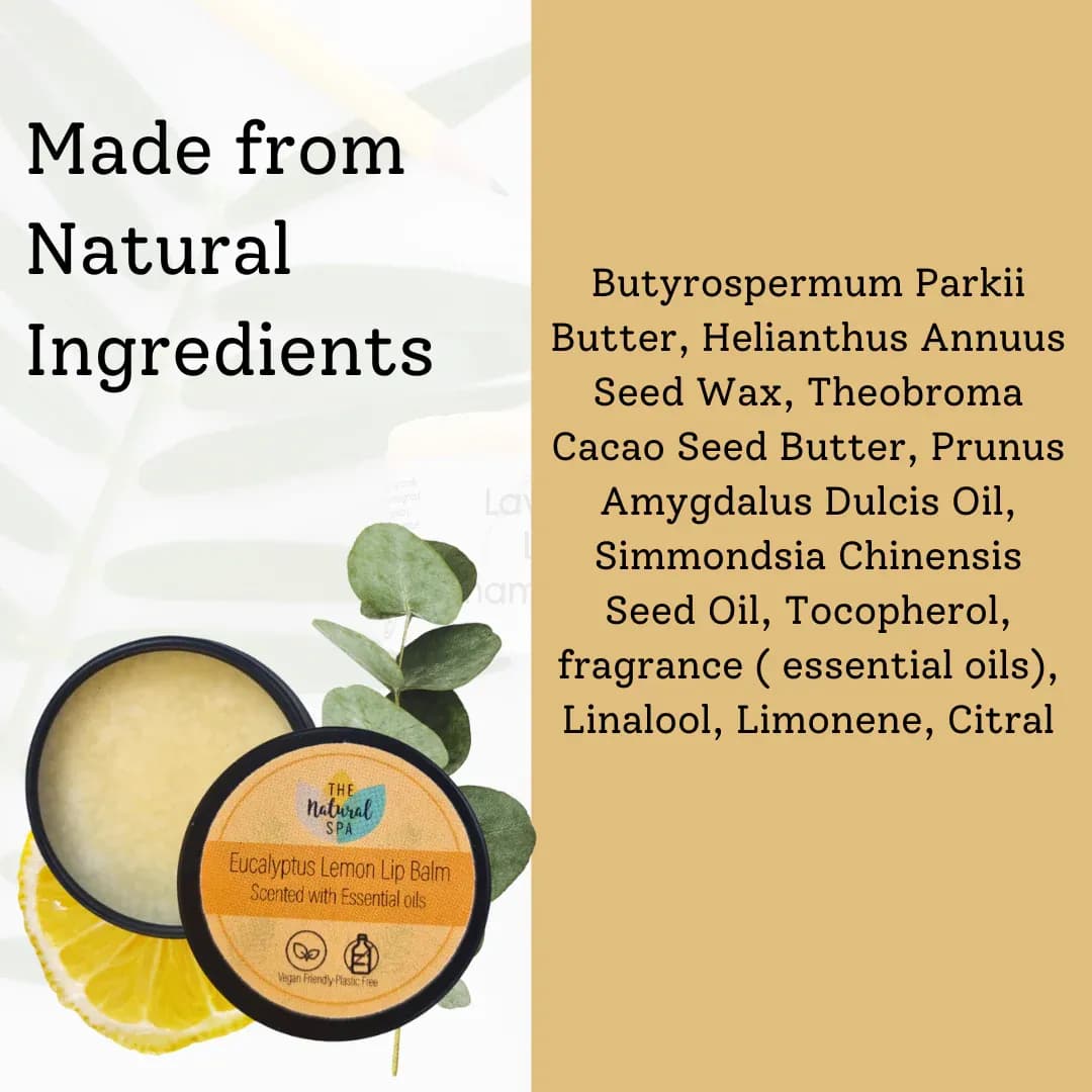 Baume a lèvre à l'eucalyptus et au citron 03